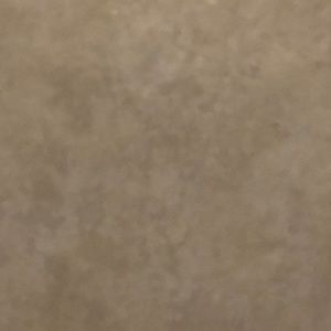 Meet your Posher, Zoey